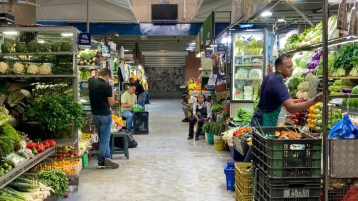 Más de la mitad de los hogares venezolanos sufre inseguridad alimentaria